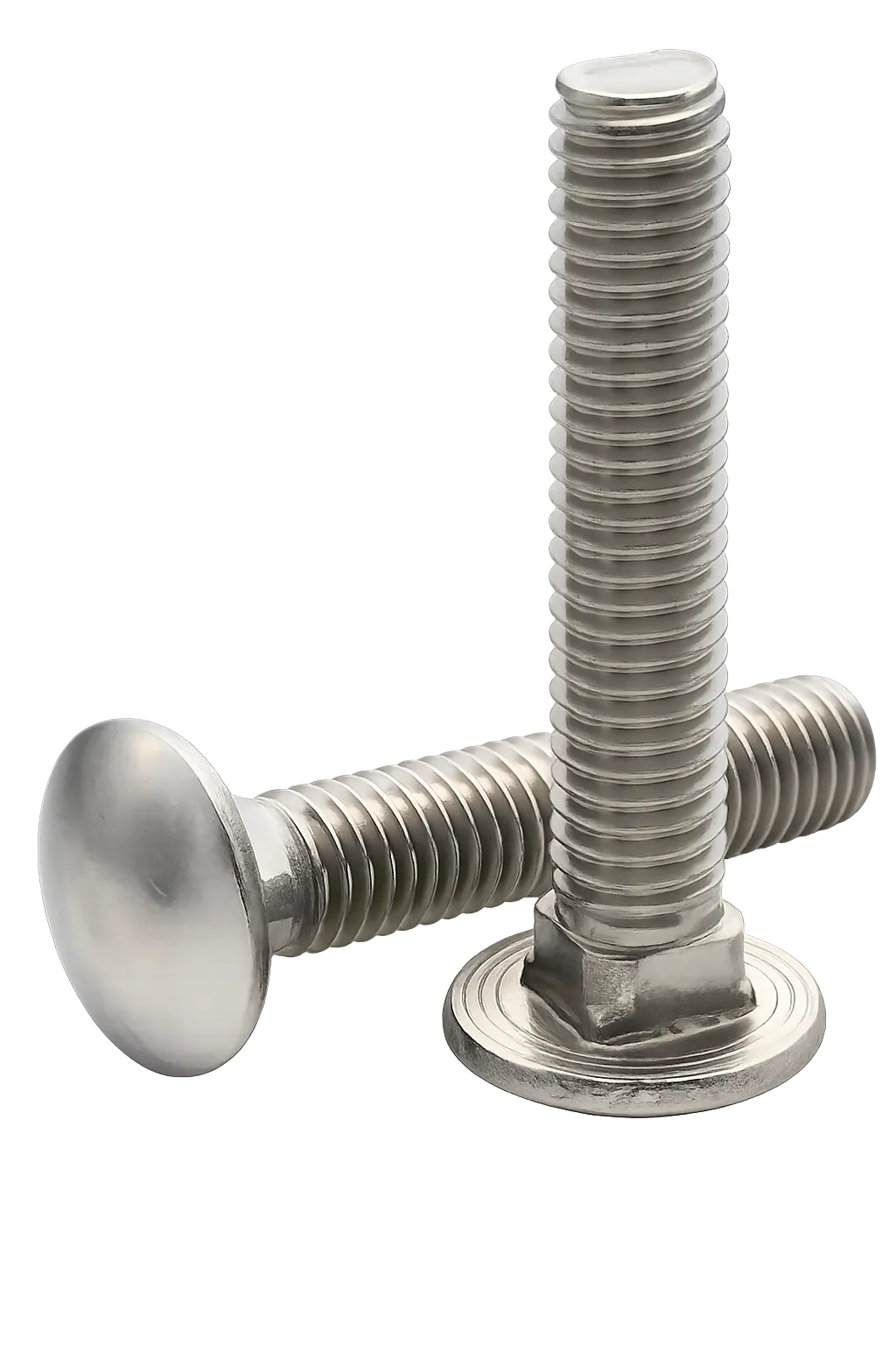 Carriage Bolt